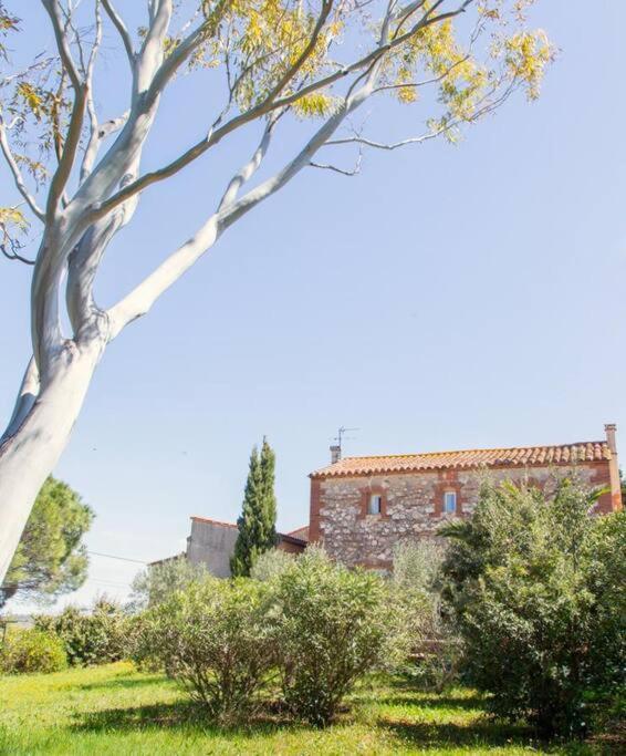 La Maison Des Vendangeurs Canet-en-Roussillon Exterior photo